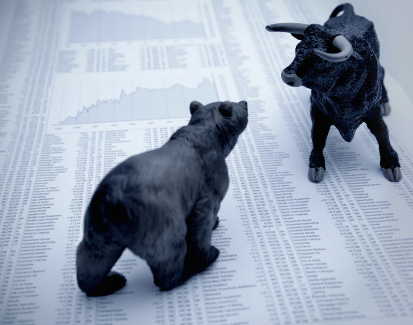 the bulls and the bears result from investment risks and volatility in financial markets